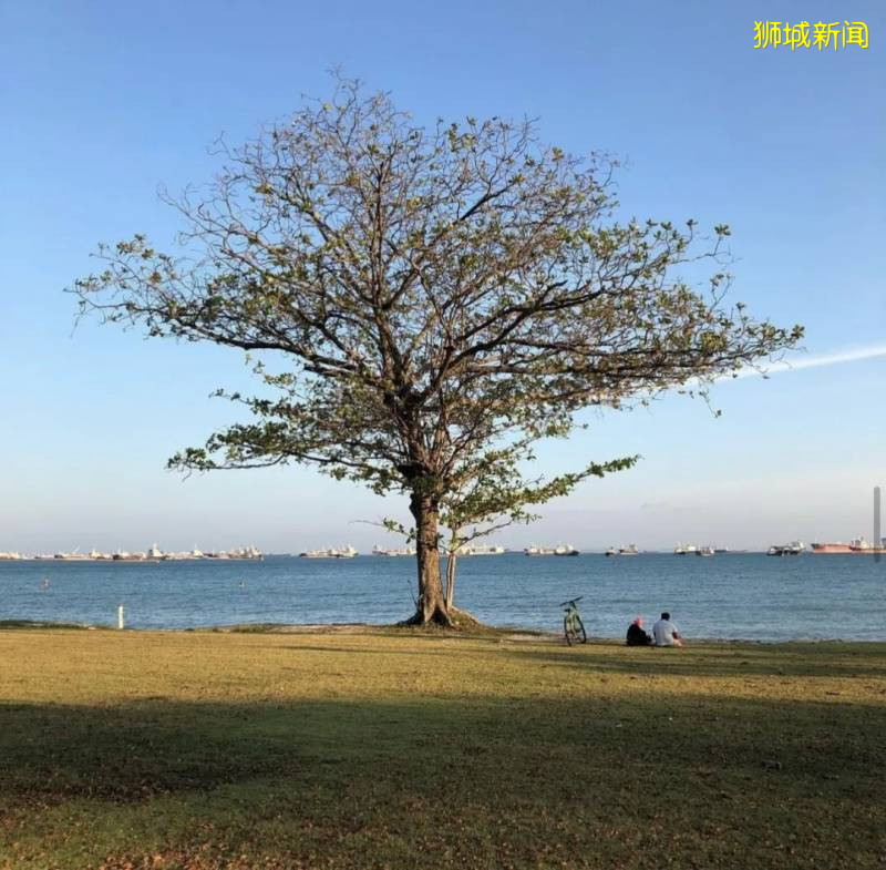 狮城出片率最高的野餐地，收藏起来，周末和朋友一起去吧