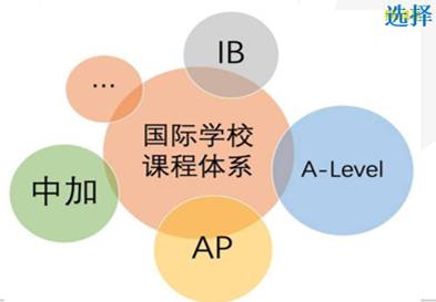 【新加坡留學】非盈利國際學校裏的選擇