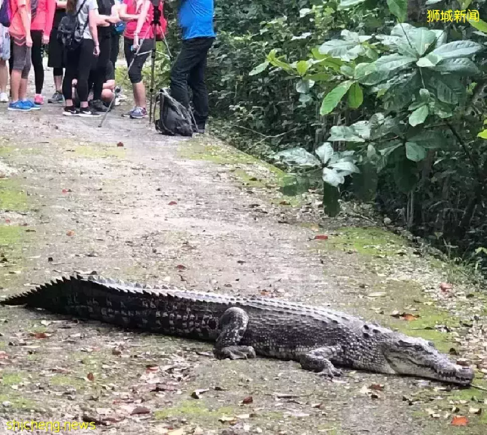 周末不懂要去哪？去新加坡TOP 3自然风光吧