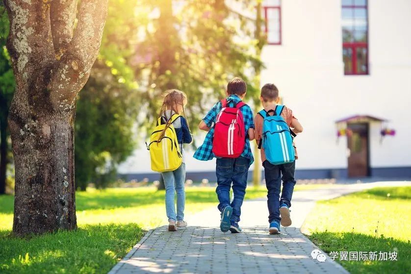 这两所新加坡小学仍是“幼年”，却名列前茅