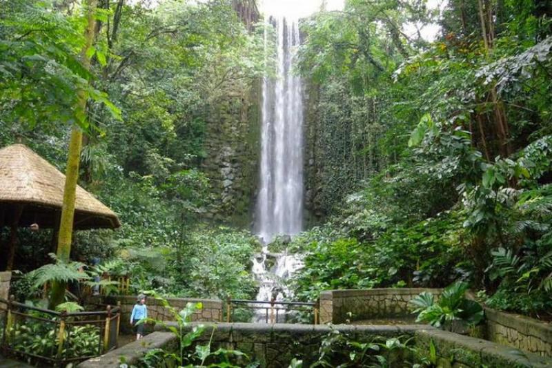 Waterfall-at-Jurong-Bird-Park.jpg