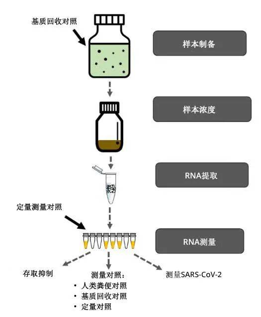 紧急！新加坡国立大学宿舍楼废水测出新冠病毒！大批学生强制检测，今天完成