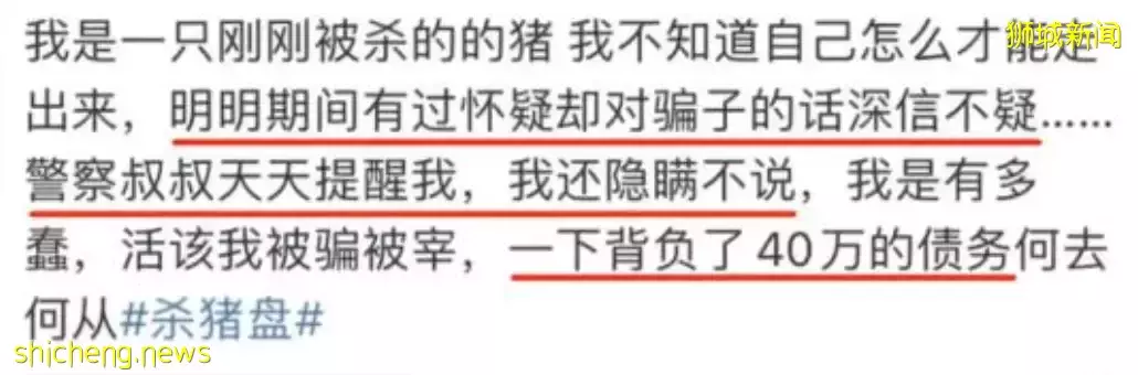 老母亲的新加坡奇遇：被警察通缉、被男神追求，还有人邀我投资太阳能汽车