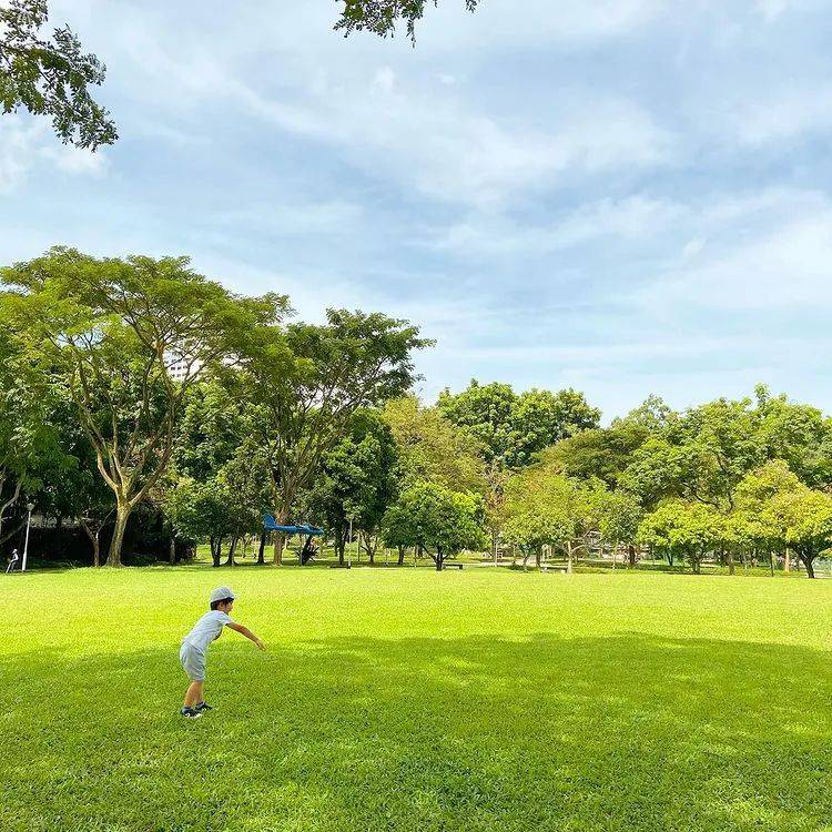 躺綠地、吃美食、看日落...新加坡最適合野餐的5大公園