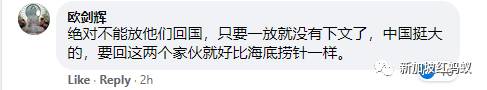 打理千萬投資爲由，涉謊報行蹤武漢夫婦獲准回中國，新加坡控方不滿上訴