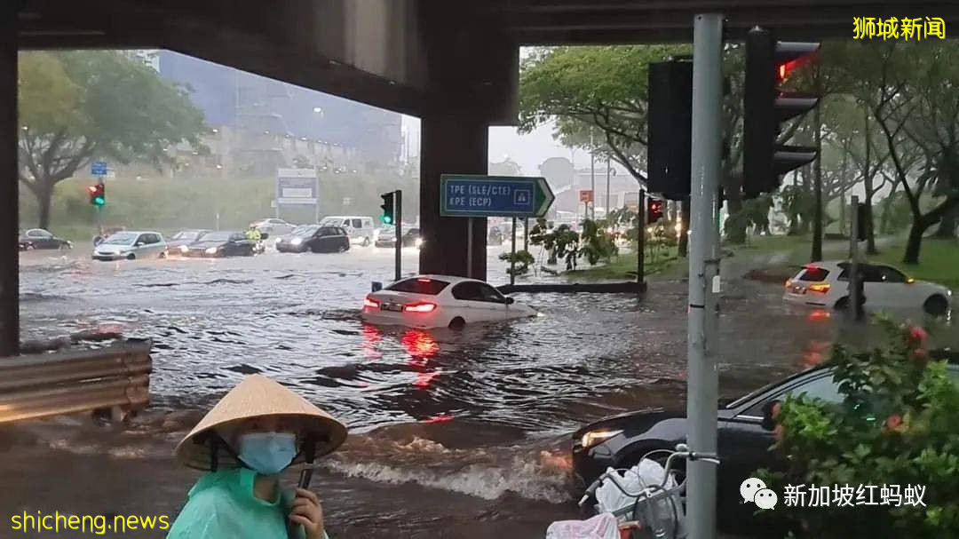 全球气温上升祸害多，新加坡恐难避免更多强风暴雨