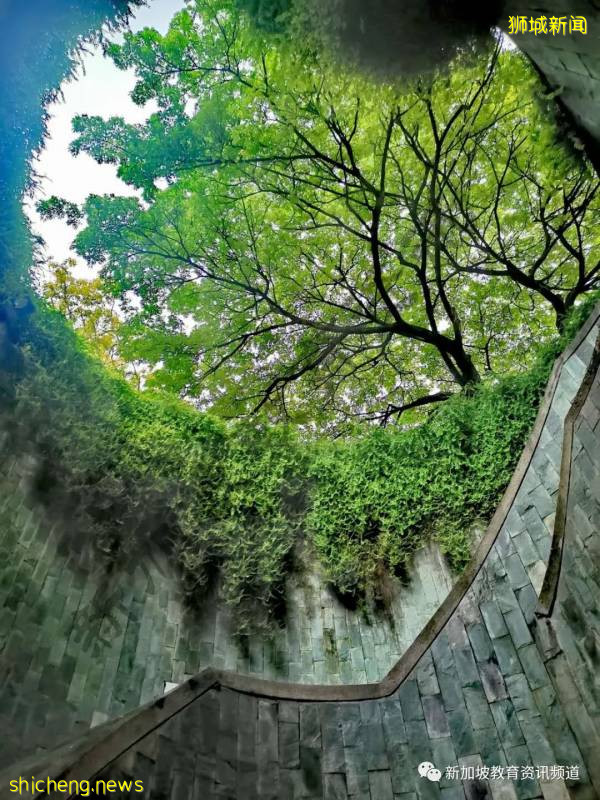 【獅城萬象】坡島十大打卡勝地