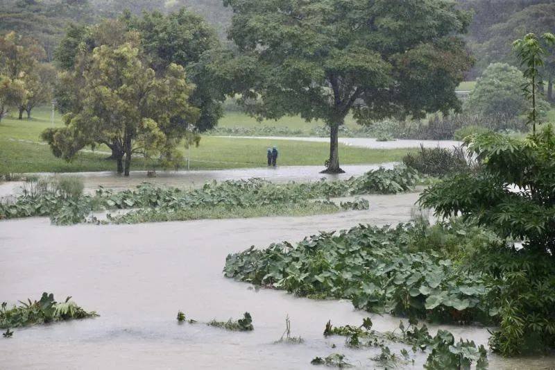 2021年第一周新加坡全岛下倾盆大雨，这究竟是好还是坏