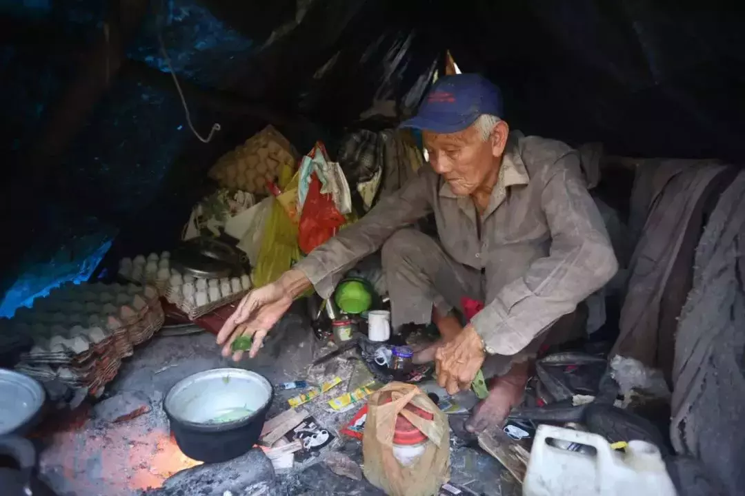 新加坡79岁老人独自住树林30年，非法卖菜遭取缔只指望