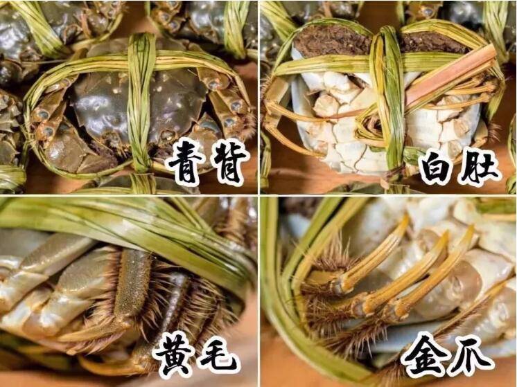 大闸蟹在新加坡这么受欢迎，每公斤涨幅高达80元