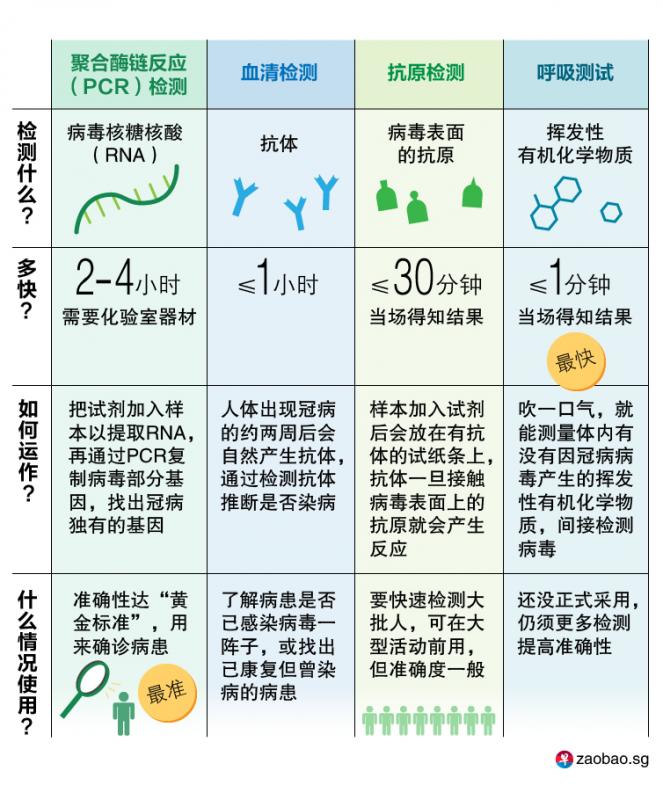 何晶未卜先知！　被视为“黄金标准”的检测失效，83岁游轮乘客未染冠病