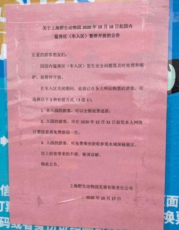 殘忍！上海動物園熊吃人，親眼目睹！新加坡也發生過類似案件！印度最慘