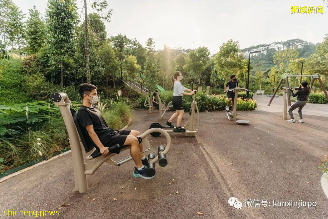 登高遠眺，解鎖新加坡新地標山丘步道、蝴蝶園和遛狗場 .