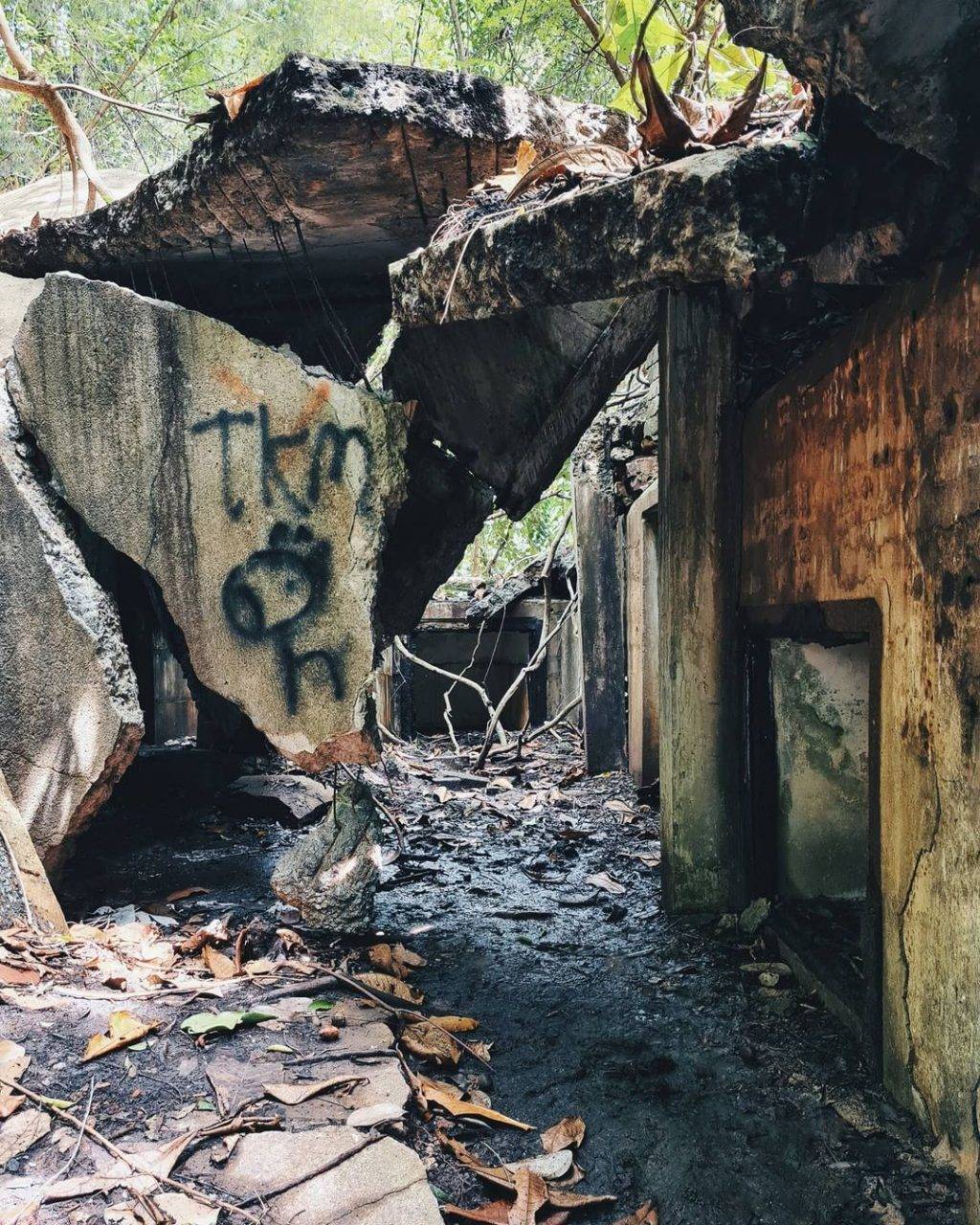 探险基地！新加坡“秘密”徒步区🤫 战争古迹遗物+山顶堡垒炮台