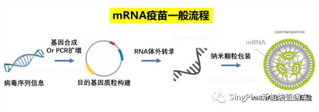 新加坡社區開始接種新冠疫苗！全球數十人接種輝瑞疫苗後死亡