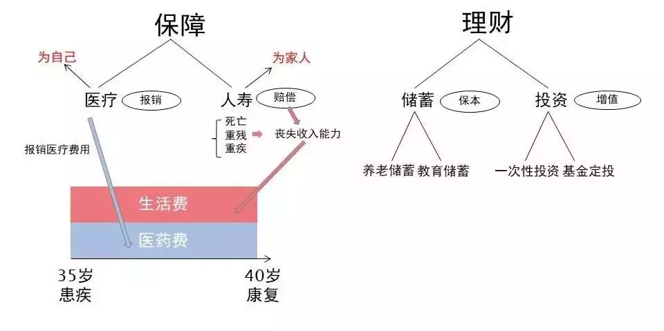 保险避坑指南 一文详解新加坡买保险那些事