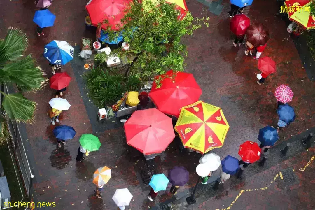 狂風大雨擋不住，讓新加坡人天沒亮就排隊的“開庫借紅包” 是什麽