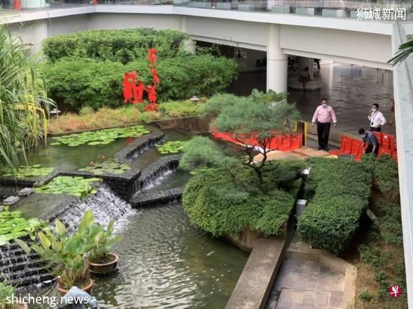 鲤鱼池引来贪吃水獭 医院紧急加装临时防护栏