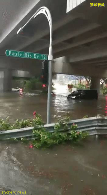 新加坡大暴雨：马路变河、草坡变瀑布！25人被困，1人送医