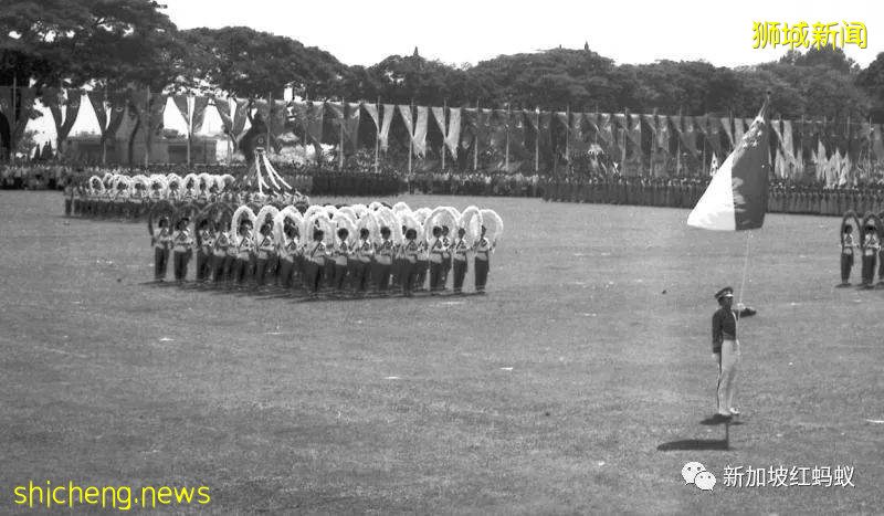 新加坡國慶大展“鐵鳥”雄姿，傳達強軍捍衛國土的意志