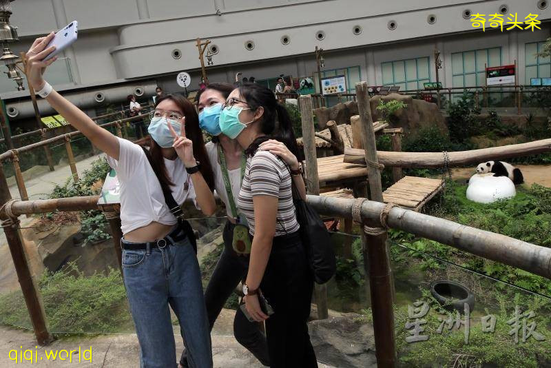 全年免費票超搶手．國家動物園甫開放現人龍!