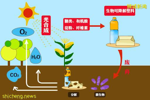 发达的新加坡，为何明年才正式“限塑”