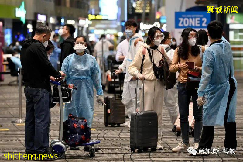 新馬旅遊走廊啓動在即　這些是你須知的出行條件和指定航班價格