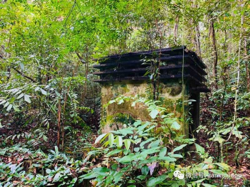 勇闯麦里芝被遗忘的神社，狂风暴雨下惊险求生