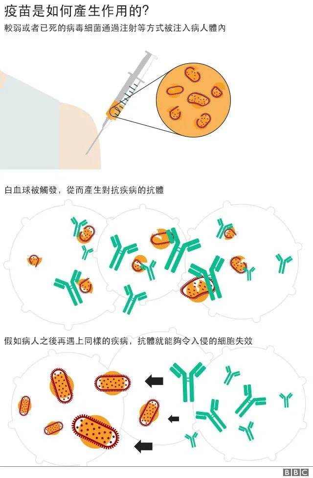 重磅！在新加坡打疫苗，可自选种类了！辉瑞 vs 莫德纳全面对比，中国疫苗还没批？