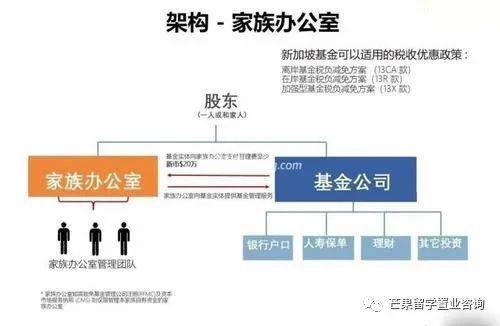 新加坡家族办公室的优势