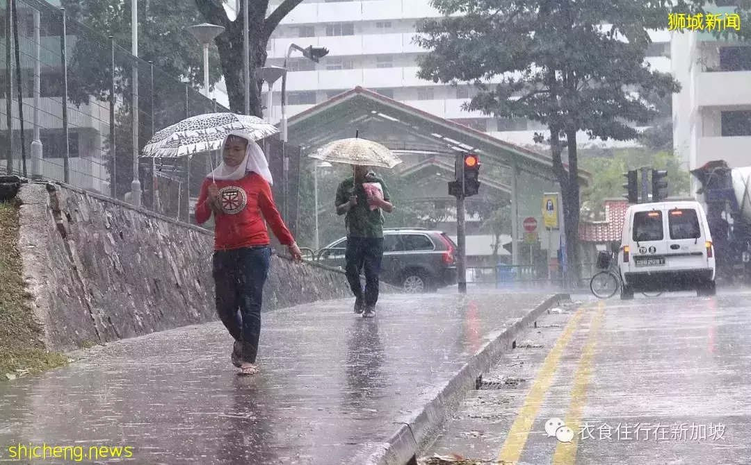 震惊！新加坡将连续下15天雨