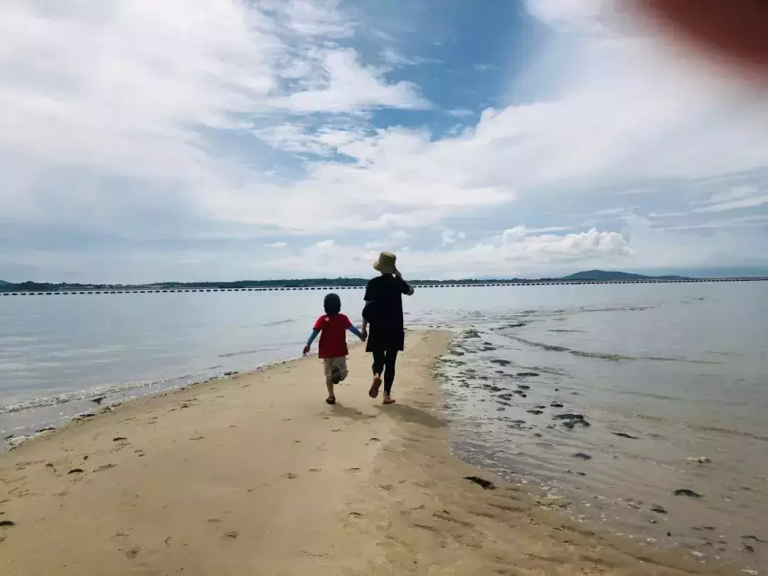 去趕海啦！新加坡海灘竟然也有寄居蟹、花蟹、龍蝦、海星