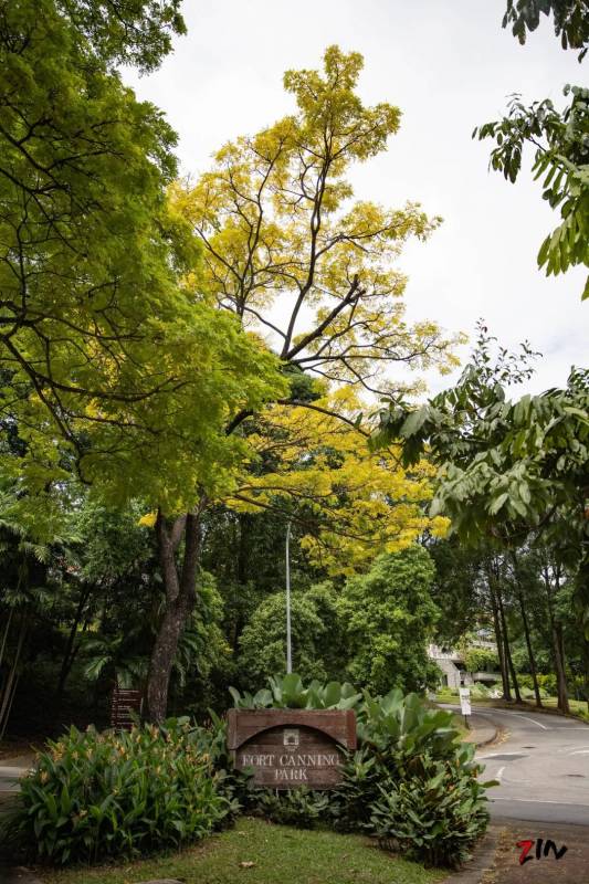 这座网红美照最多的小山，承载着新加坡那段血与火的历史