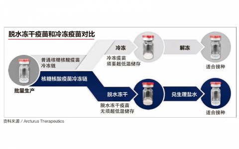 合作研發疫苗進行三期臨床試驗，新加坡首款本國疫苗即將問世