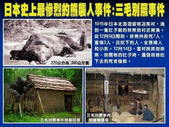 殘忍！上海動物園熊吃人，親眼目睹！新加坡也發生過類似案件！印度最慘