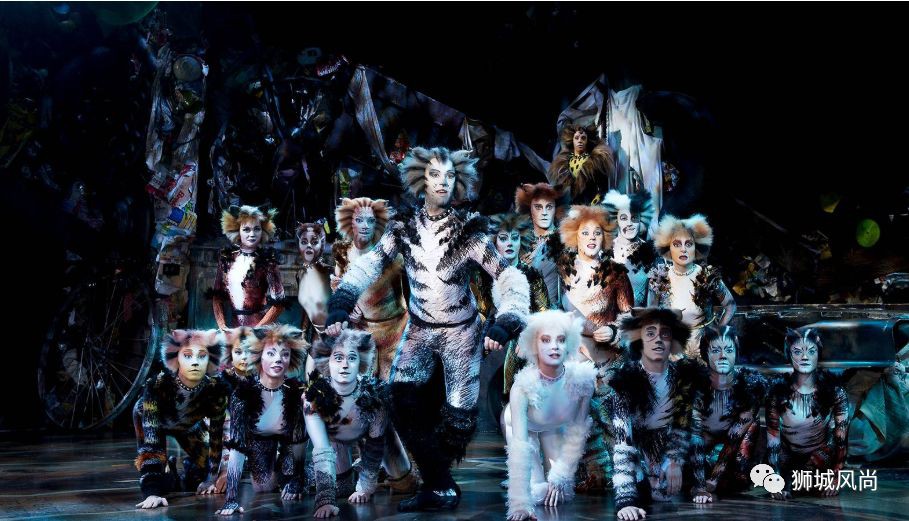 Cats The Musical Is Now In Singapore