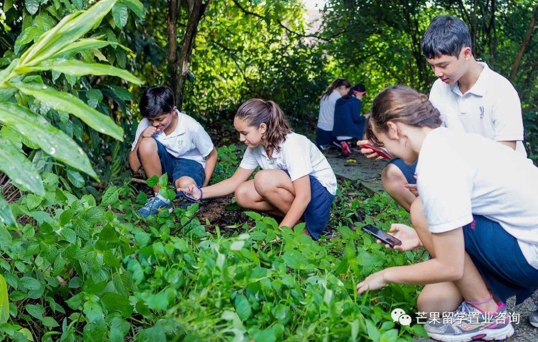 明星贵族都选择的国际学校：新加坡史丹福美国国际学校SAIS