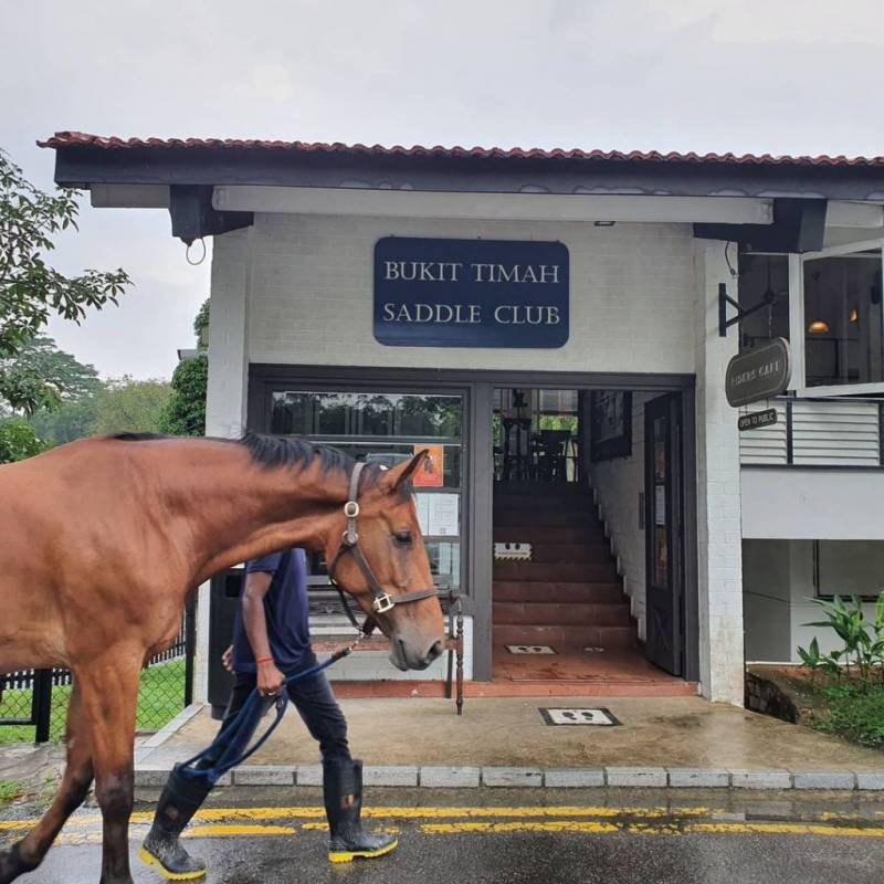 新加坡隱世咖啡廳！藏在馬場裏的Riders Cafe🐎 來一場慵懶偷閑早午餐，治愈那顆想旅遊的心