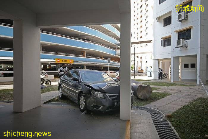 错踩油门撞纸桶 再撞柱子 七旬司机吓得魂飞魄散