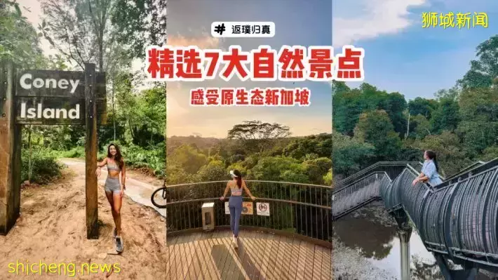 走出钢骨都市，返璞归真特辑🍃精选7大自然景点，带你感受原生态新加坡🌳