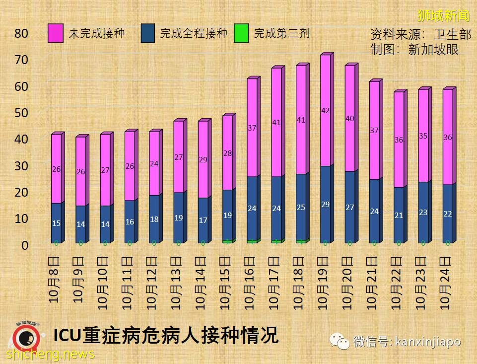 新加坡卫生部长辟谣：ICU病房40%病患已接种，并不说明疫苗无用