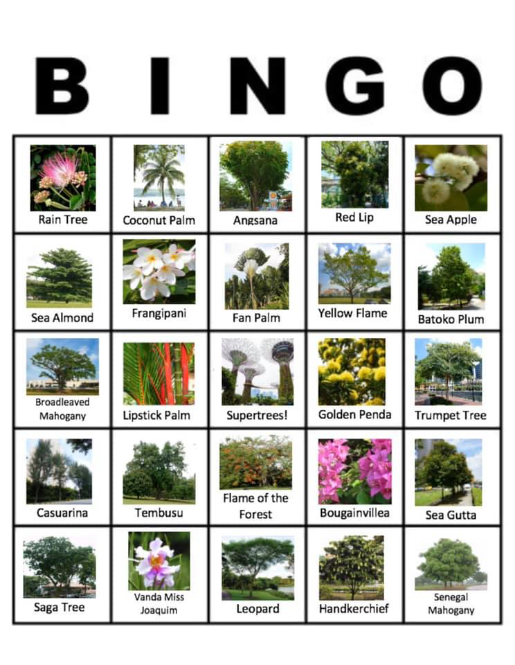 20200410-bingo.png