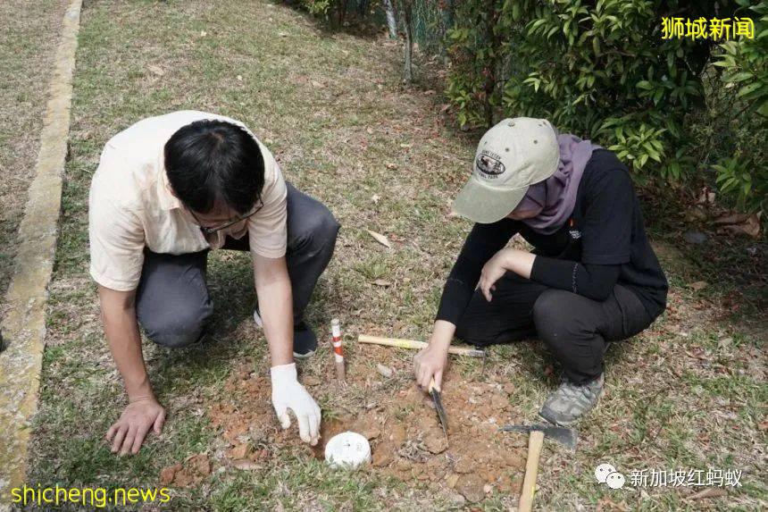 新加坡明明无天灾，为何要在全岛勘探地底结构评估地震风险