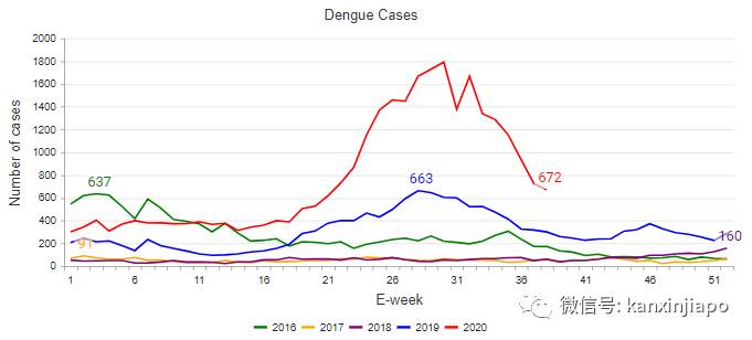 新加坡近3万人患骨痛热！毒蚊带走健康母亲，入院11天生离死别