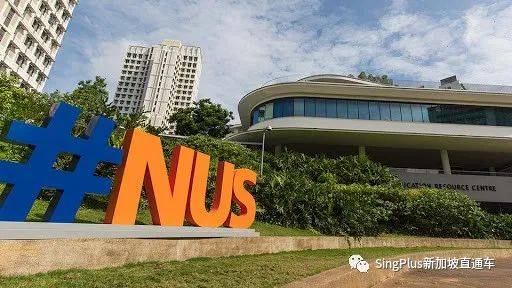 罪惡萌芽，新加坡的大學到底怎麽了