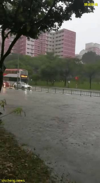 新加坡大暴雨：马路变河、草坡变瀑布！25人被困，1人送医