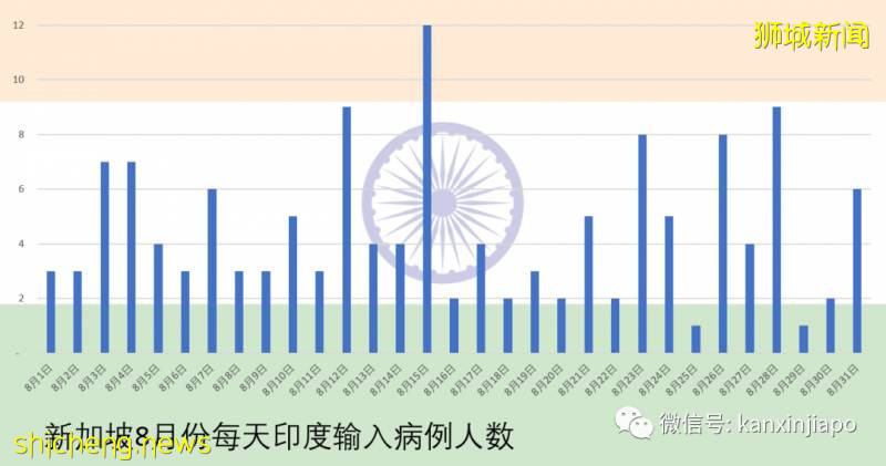 8月份新加坡输入病例近七成源自印度