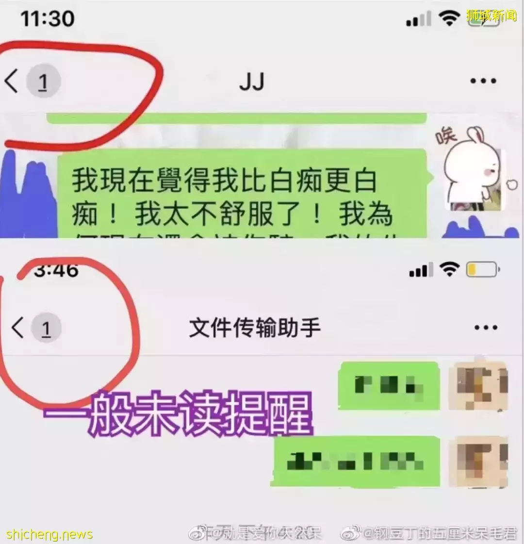 王力宏事件波及這些新加坡名人！林俊傑官方聲明後，她曬聊天記錄，稱在坡30天了等回應