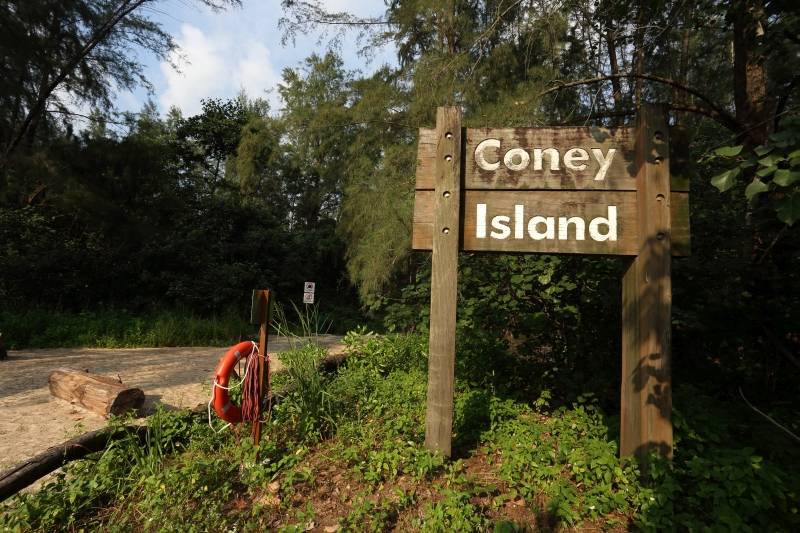 新加坡Coney Island废弃别墅，摇摇欲坠木桥小路，抓摸不清的寻访路线！🤨 