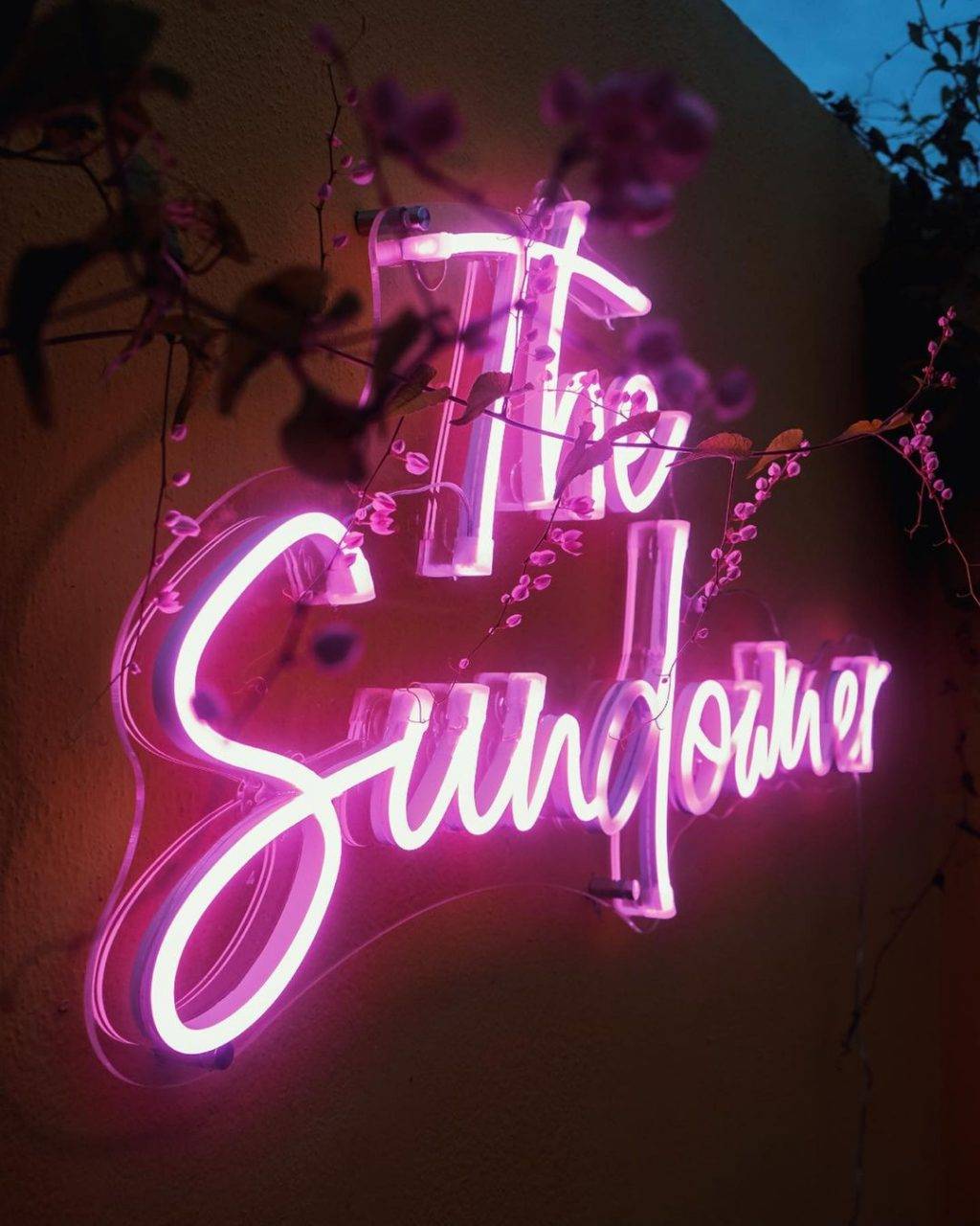 隐藏版城市农场😎 屋顶变花园“The Sundowner”商店顶楼采蜂蜜🐝尽享日落余晖，感受都市慢生活